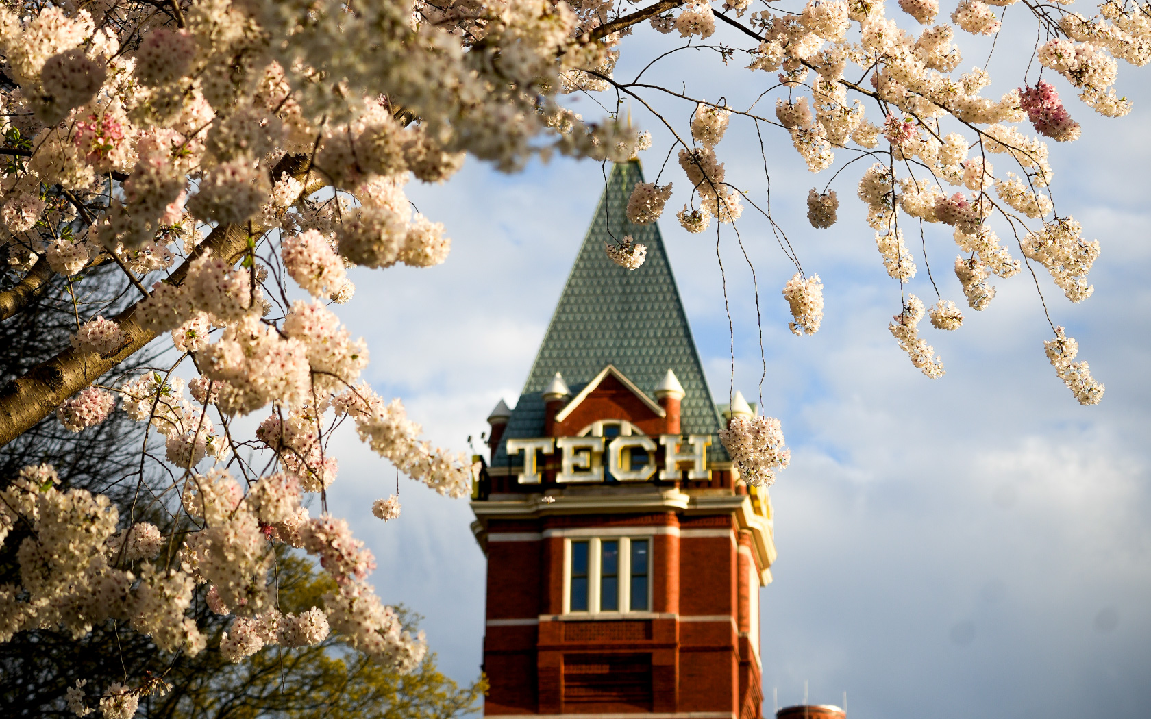 tech tower flowers