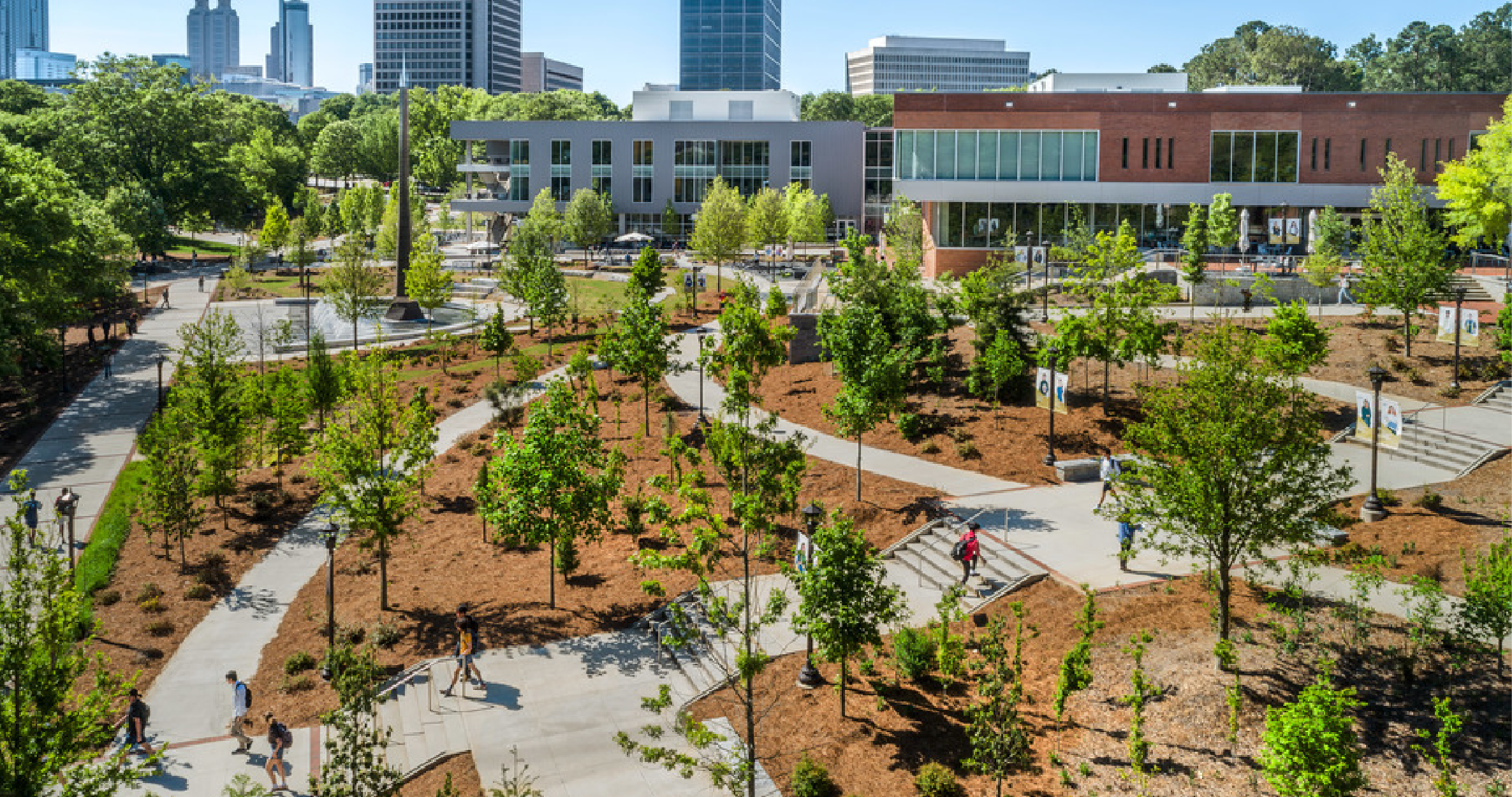 trees outside of the John Lewis student center