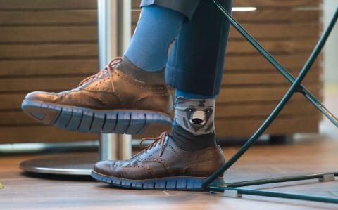 Daren Hubbard's novely socks 