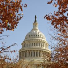 U.S.-Capital-Bldg-in-the-Fall.jpg